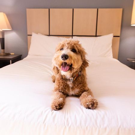 Sonesta Simply Suites Parsippany Morris Plains Luaran gambar